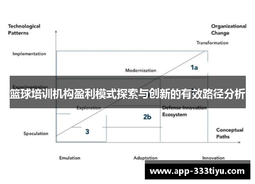 篮球培训机构盈利模式探索与创新的有效路径分析